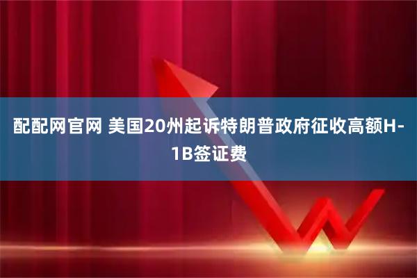 配配网官网 美国20州起诉特朗普政府征收高额H-1B签证费