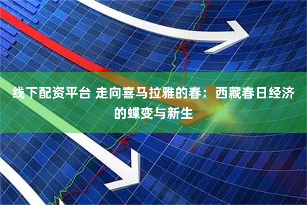 线下配资平台 走向喜马拉雅的春：西藏春日经济的蝶变与新生